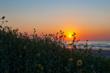 Cinnamon Shore Touches Louisiana Vacationers with Radio Campaign